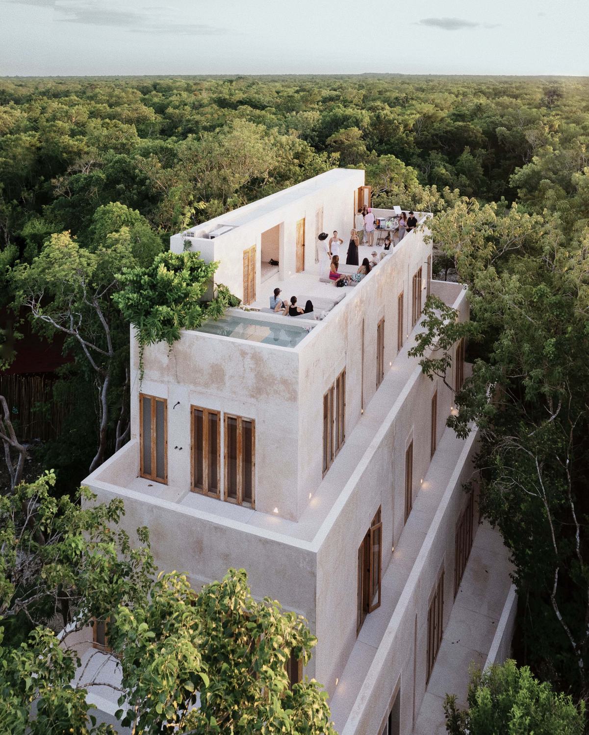 Rooftop terrace overlooking the jungle canopy
