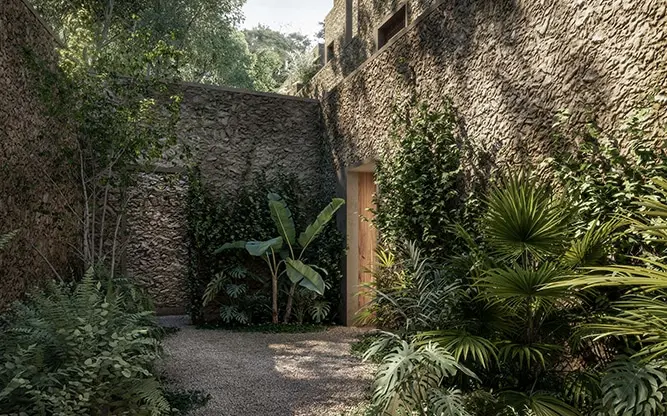 courtyard filled with green plants