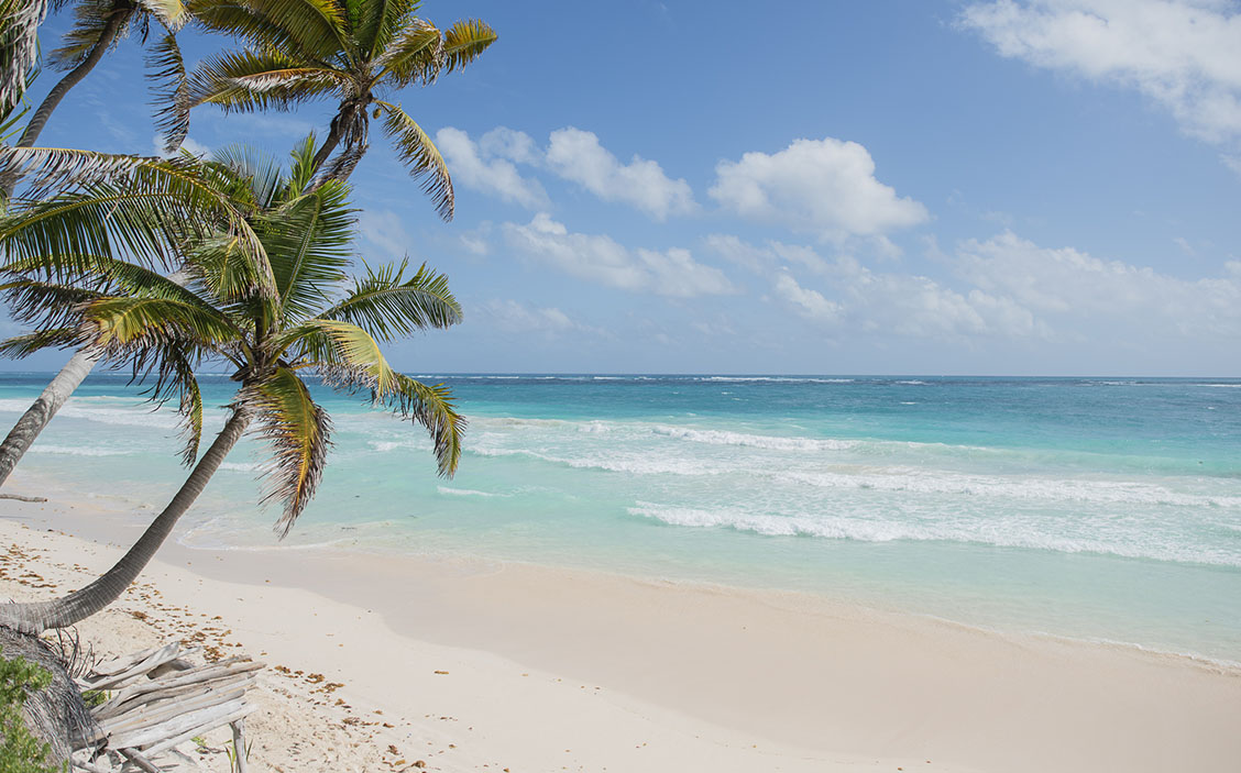 _ENF6211 (1) private white-sand beach for candela owners